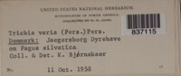 Image Associated With the Occurence